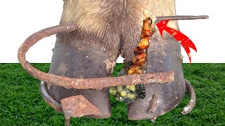 I Saved a Cows Life by Removing a Screw with Nails from Its Hoof TK231003 [upl. by Draner]