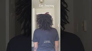 My 2nd Loc Journey 17 months ✨️  locjourney locs locd [upl. by Doherty679]