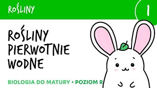 Rośliny 1  Rośliny pierwotnie wodne krasnorosty i zielenice  biologia do matury [upl. by Lucina482]