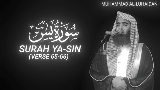 Surah YaSin Verse 6566  Muhammad AlLuhaidan  QURAN is LIFE [upl. by Adah]