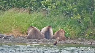 910 Napping Butts exploreorg KRV cam [upl. by Ries582]