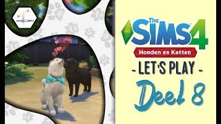 ◢ PROBEREN EEN PUPPY TE MAKEN ◤  Sims 4 Honden amp Katten Lets Play  Deel 8 Nederlands [upl. by Varhol4]