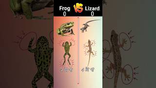 Frog 🆚 Lizard ❓ viral [upl. by Syned]