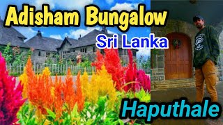 Adisham Bungalow In Sri Lanka  ඇඩිසම් බංගලාව බලන්න යමු  Haputhale [upl. by Loar75]