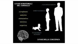 Scienza della Complessità le fasi dello Sviluppo Mentale Fabio Barzagli cervello ed educazione [upl. by Hsot319]