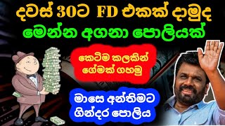 Best Fixed Deposit for 1 Month Earn money from fd rates in sri lanka 2024 LOLC finance money market [upl. by Mraz]