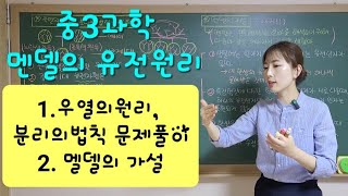 중3과학  우열의 원리 분리의 법칙 문제풀이 멘델의 가설   높은화질로 설정한 다음 시청해 주세요 [upl. by Indihar]