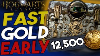 Hogwarts Legacy How to get Rich Early Game ALL Eye Chest Locations [upl. by Ydnic]