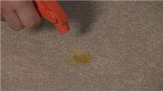 Carpet Cleaning  Removal of a Mustard Stain From a Carpet [upl. by Mettah]