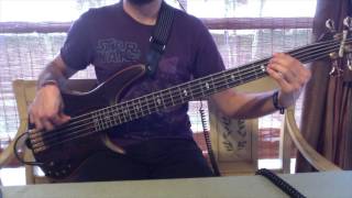 Unknown Mortal Orchestra  FFunny FFriends Bass Cover Pedro Zappa [upl. by Adran]