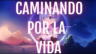 Melendi  Caminando por la Vida  Nightcore [upl. by Reffinej]