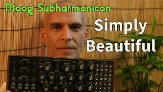 Moog Subharmonicon 30 minutes in and already a beautiful song [upl. by Ynez]