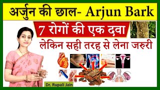 7 Amazing Health Benefits of Arjun Chaal  Bark  अर्जुन की छाल Terminalia arjuna गुणकारी औषधि [upl. by Rodney]