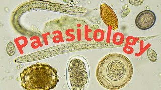 Introduction of Parasitology  Type of parasites and Host [upl. by Yeslrahc254]