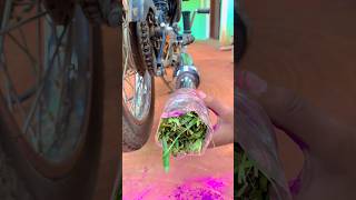 Rang grass back fire🤓 trend royalenfield shorts viralvideo 10k shortsfeed [upl. by Gunzburg]