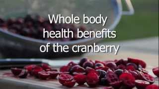 Whole Body Health Benefits of the Cranberry [upl. by Ludovico]