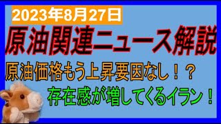 原油価格もう上昇要因なし！？リグ稼働数減少しても生産量増の謎！NVIDIA決算よかったのに！WTI原油先物価格見通し 2023年8月27日時点 [upl. by Danny]