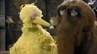 Sesame Street  Episode 1706 street scenes 23 [upl. by Otipaga]