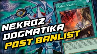 NEKROZ DOGMATIKA POST OCTOBER 2022 BANLIST [upl. by Anura]