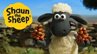 Shaun the Sheep Season 6 Clip  Squirrelled Away [upl. by Socem901]