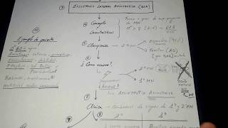 Esquema en 8 minutosEsclerosis Lateral Amiotrófica  ELA [upl. by Algy694]