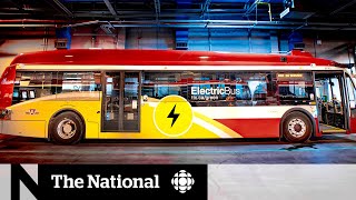 TTC testing out electric buses in bid to become greener [upl. by Anasus]