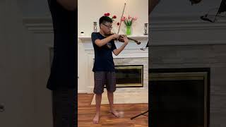 lalo symphonie espagnole 1st movement violin solo [upl. by Nylrehs]