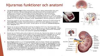 Njurarna och utsöndringsorganen  Biologi 2 100 p [upl. by Eetnwahs]