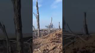 Trench War Scene from Ukrainian Soldiers Magnificent Helmet Camera Footage [upl. by Thea]