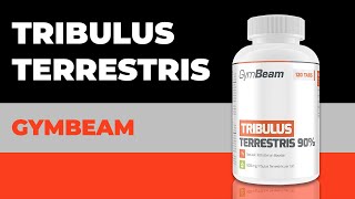 Tribulus Terrestris l Videorecenzia l GymBeam l Igor Illeš [upl. by Acired394]