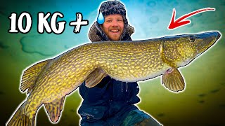 10 GIANT PIKE CAUGHT FROM ICE Dream Fishing  Team Galant [upl. by Rickard]