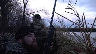 Minnesota Duck Hunting Public Land Mixed Bag [upl. by Darmit416]