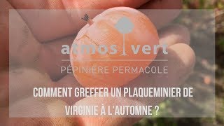 🍂 Comment greffer un Fruitier à l automne [upl. by Ajax539]