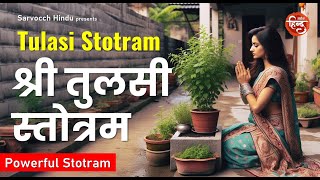 Tulasi Stotram  तुलसी स्तोत्रम  Devotional Mantra  Sarvocch Hindu [upl. by Sesmar]