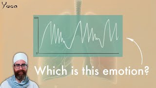 Breathing Patterns Paradoxical Breathing amp Retraining the Body [upl. by Elleynad]