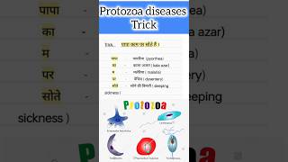 protozoa diseases trick in hindi science biology shortsyoutube [upl. by Ecyarg]