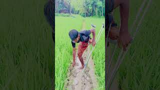 subscribe foryou foryoupage bangladesh support trend trending trendingshorts trendingvideo [upl. by Whitver]