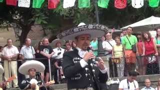 Mariachis en Barcelona La Malagueña José González Grito Independencia Mexicana 2014 [upl. by Gally]