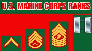 US Marine Corps Ranks Explained [upl. by Ram]