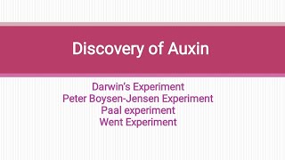 Discovery of Auxin Darwins experiment paal experiment Boysen Jensen experiment went experiment [upl. by Nodrog]