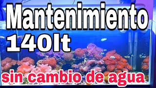 Mantenimiento a Acuario 140lts SIN CAMBIOS DE AGUA [upl. by Vanzant287]