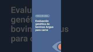 Evaluación genética de bovinos Angus [upl. by Tor]