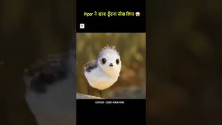 😱 Piper ने खाना ढूँढना सीख लिया shorts facts [upl. by Isteb]