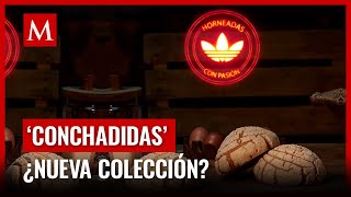 ¿Conchadidas Adidas lanzará colección de sneakers en forma de concha de dulce [upl. by Yerkovich]