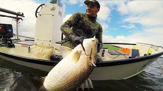 Spearfishing for Barramundi in Queensland [upl. by Vins]