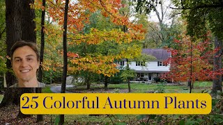 25 Plants with Awesome Autumn Color  Trees Shrubs amp Perennials [upl. by Ysnap]