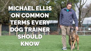 Michael Ellis on Common Terms Every Dog Trainer Should Know [upl. by Aracaj250]