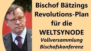 Synodaler Weg kommt mit voller Wucht zurück  VatikanGespräche völlig wirkungslos [upl. by Ramos843]