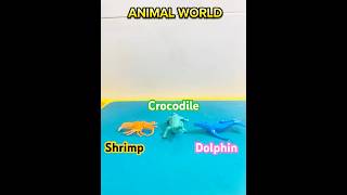 Animal World  Shrimp Crocodile Dolphin Funful world shorts animals Funful world [upl. by Livesay]