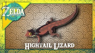 Hightail Lizard LocationsTears of the Kingdom [upl. by Ahsimot]